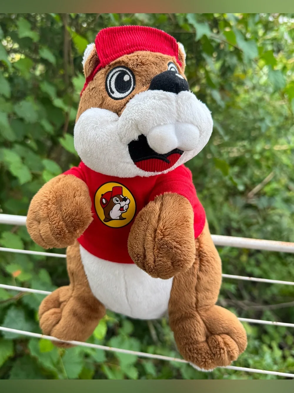 Buc-ee's plush toy 11 inches tall— mascot beaver wearing a red cap and T-shirt.